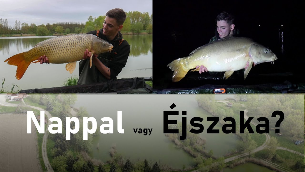NAPPAL vagy ÉJSZAKA lehetünk EREDMÉNYESEBBEK?  Farkincás Tó