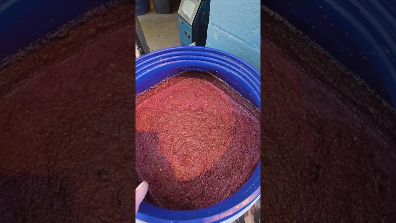 What Happens When You Distill EVERY Fruit? 🧪