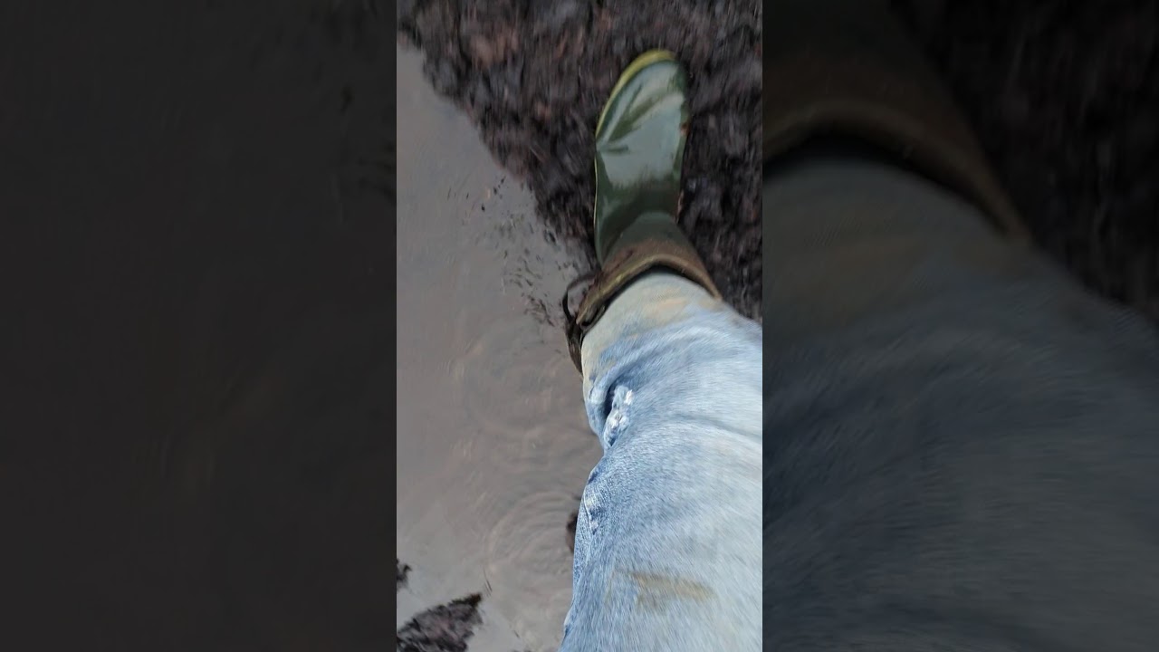 Albatros Gummistiefel im Moor