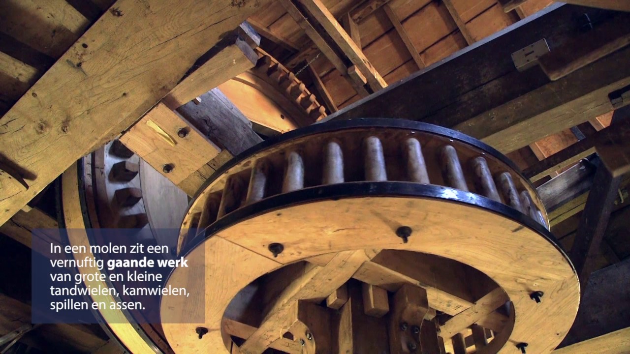 Kwieke Molens. Water en wind in Denderland en Herzele.