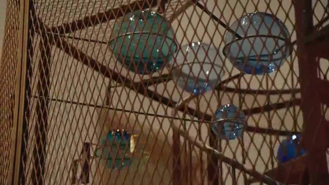 Exhibition — Louise Bourgeois: The Cells