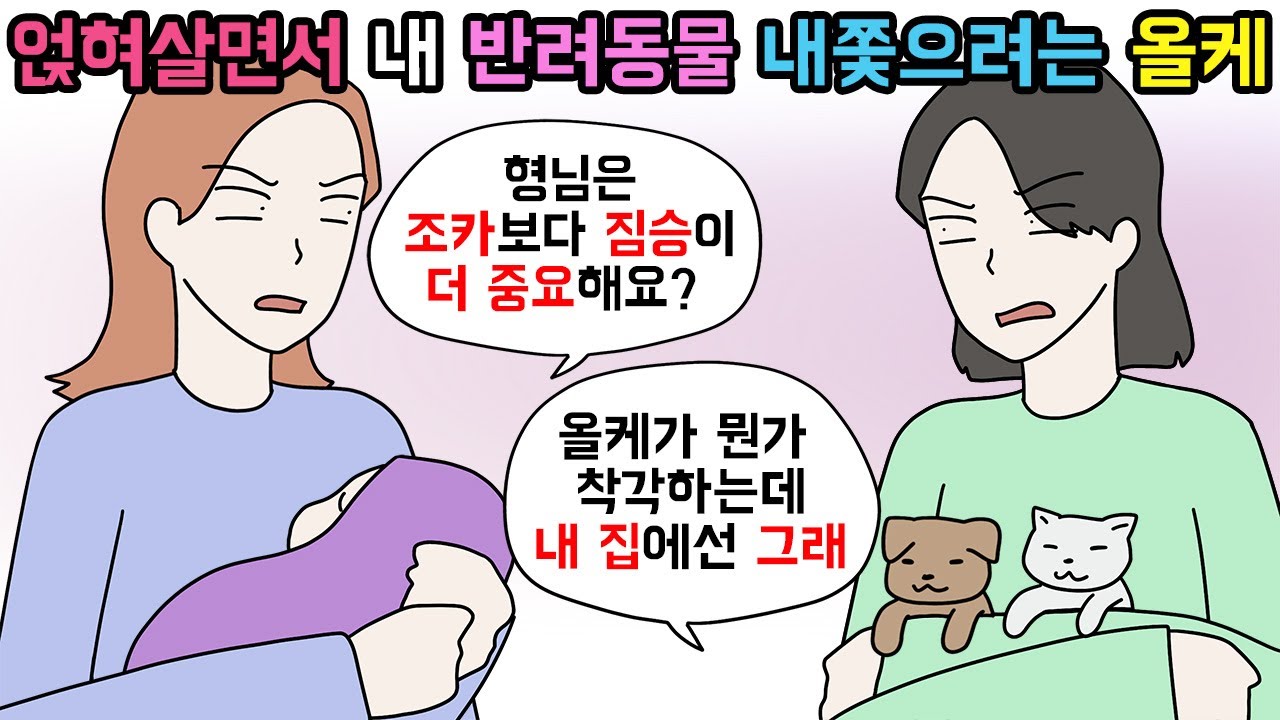 (사이다툰) 내 반려동물 내쫓으려다 도리어 쫓겨난 동생부부와 엄마😑ㅣ영상툰ㅣ썰툰 [개구리툰]