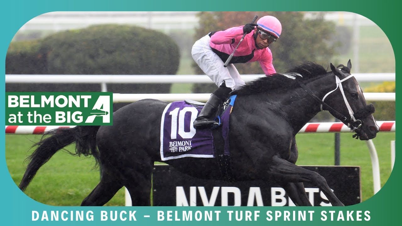 Dancing Buck - 2022 - The Belmont Turf Sprint