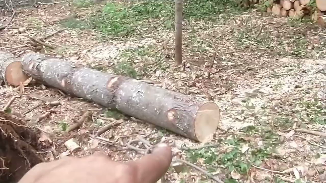 Ultra low impact harvesting/Aesthetic management