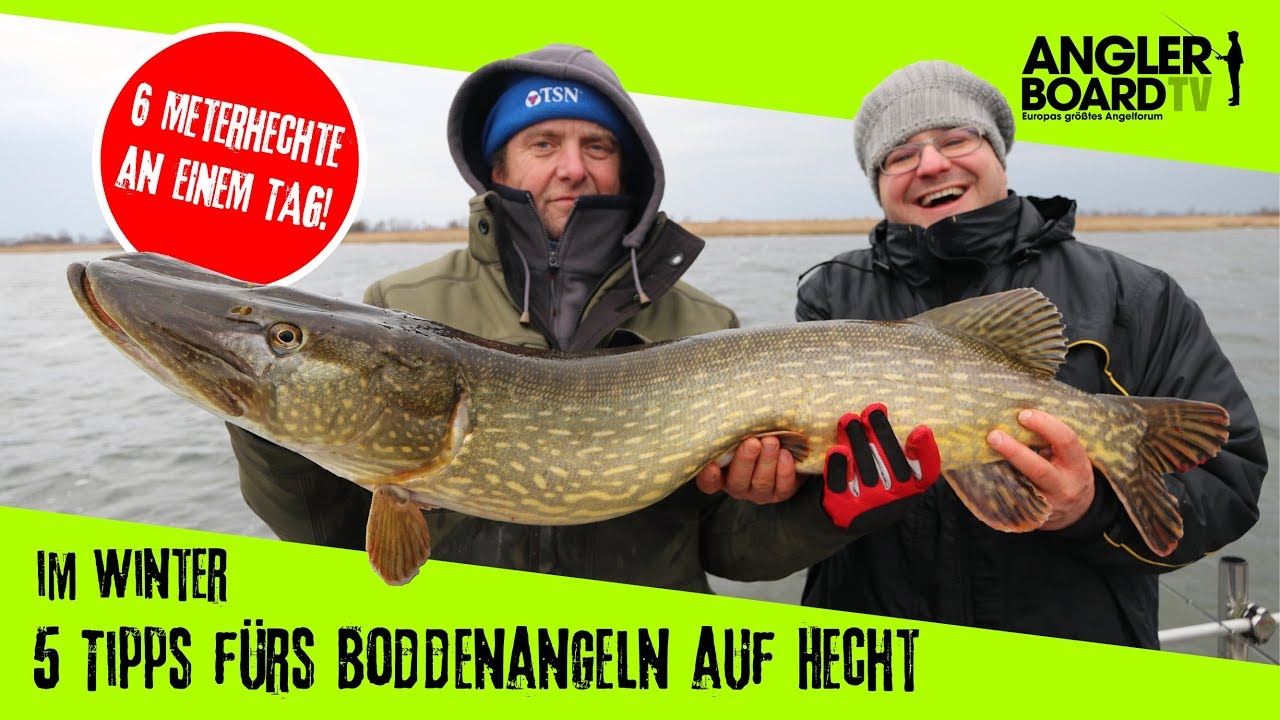 5 Tipps fürs Boddenangeln auf Hecht im Winter | Anglerboard TV