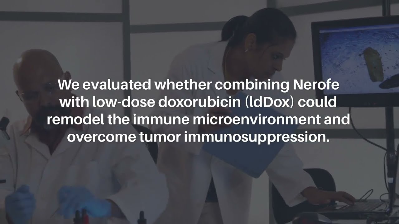 How Nerofe+ldDox Reprograms the Immune Microenvironment in KRAS-Mutant Tumors | Oncotarget