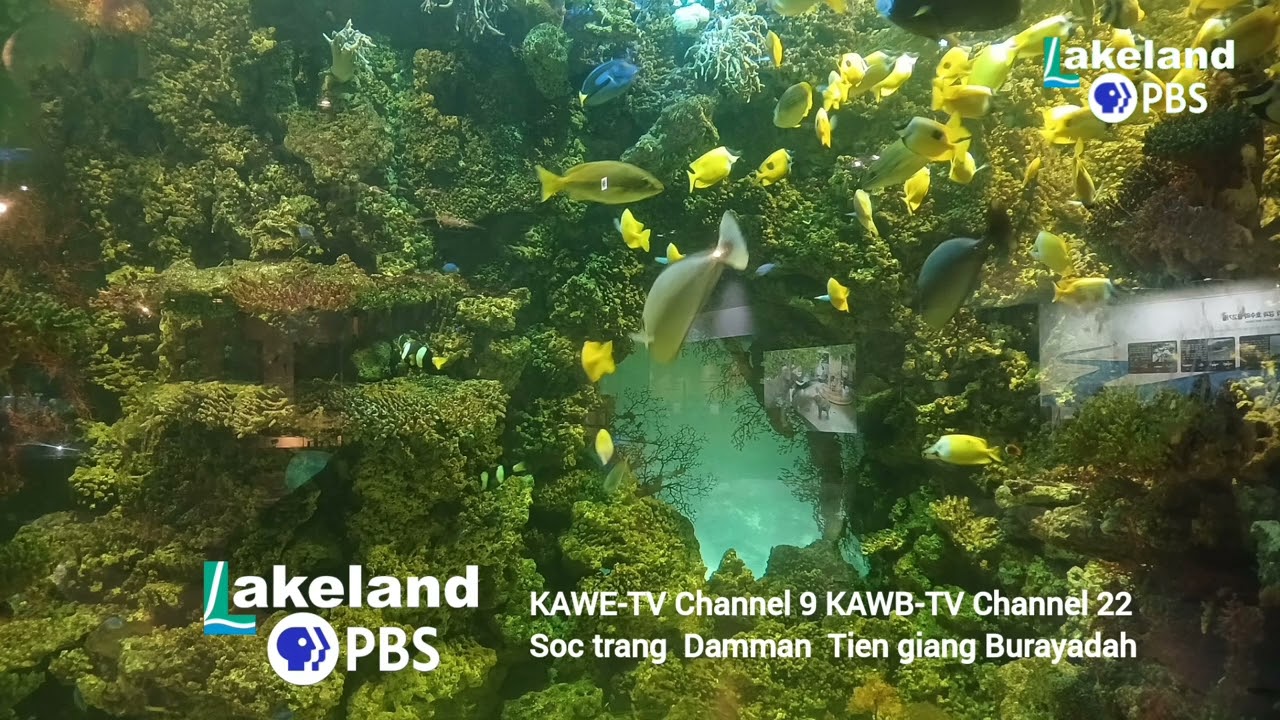 Lakeland PBS Station ID (2021)