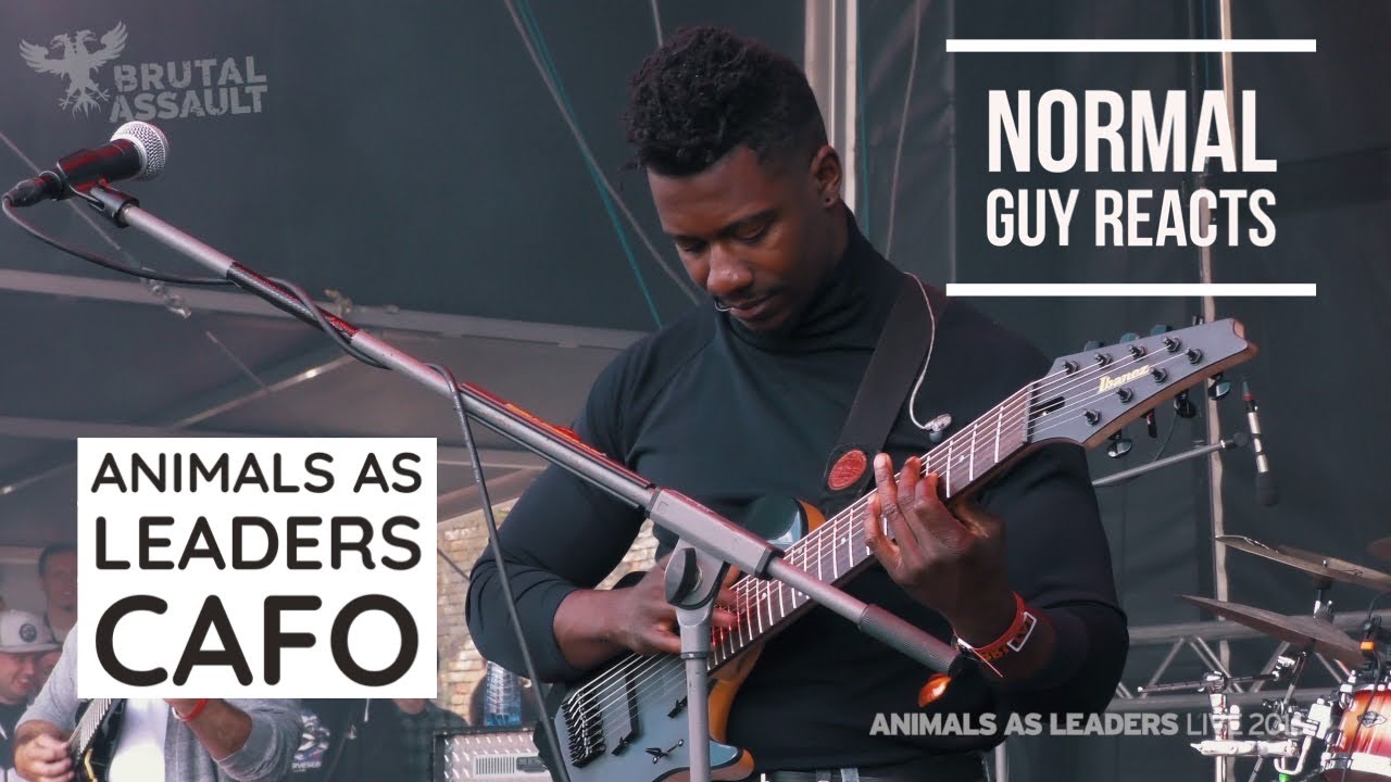 NORMAL GUY REACTS: Animals As Leaders - Cafo (LIVE)