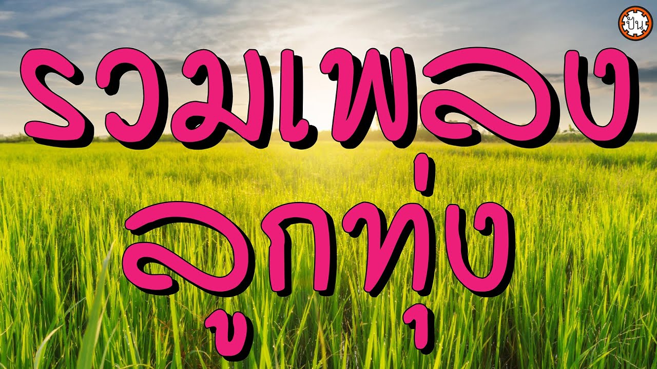 รวมเพลงลูกทุ่งดัง ฟังไม่เบื่อ #แหวนรัก #ไม่ลืมสันกำแพง #คนจนแถลงการณ์