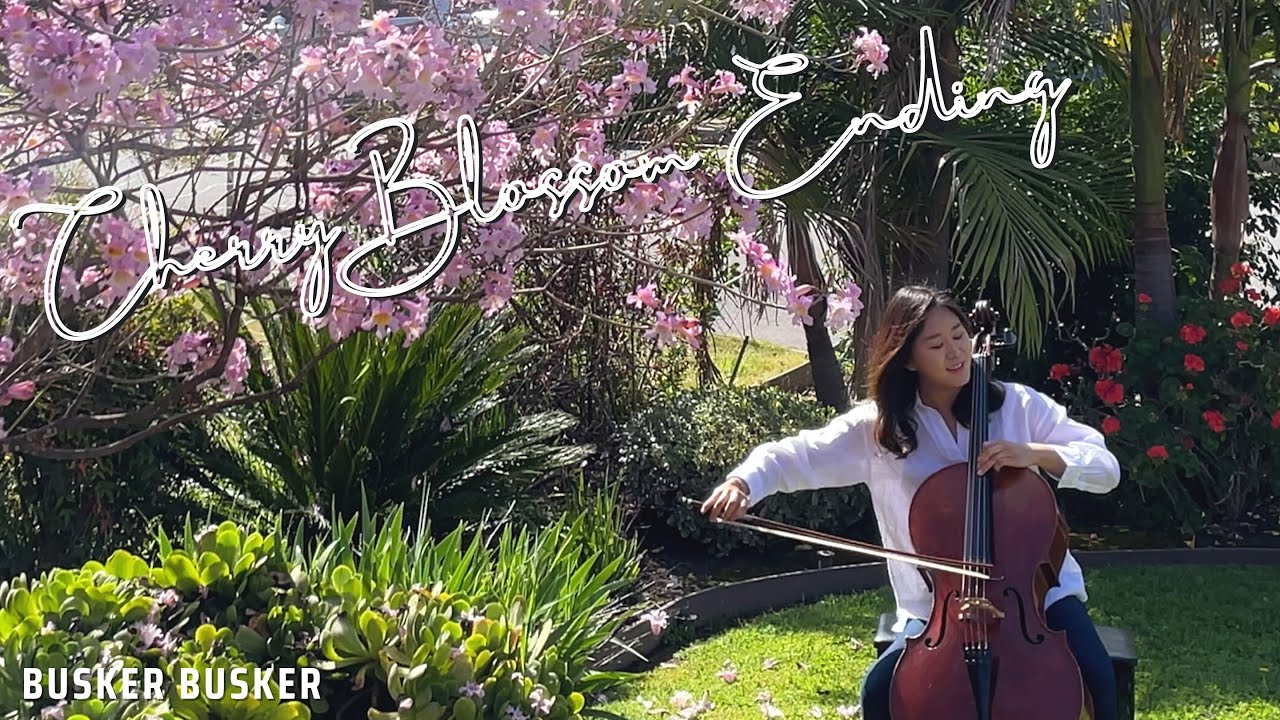 버스커버스커 - 벚꽃엔딩 (첼로) Busker Busker - Cherry Blossom Ending | Jennifer Park Cello Cover