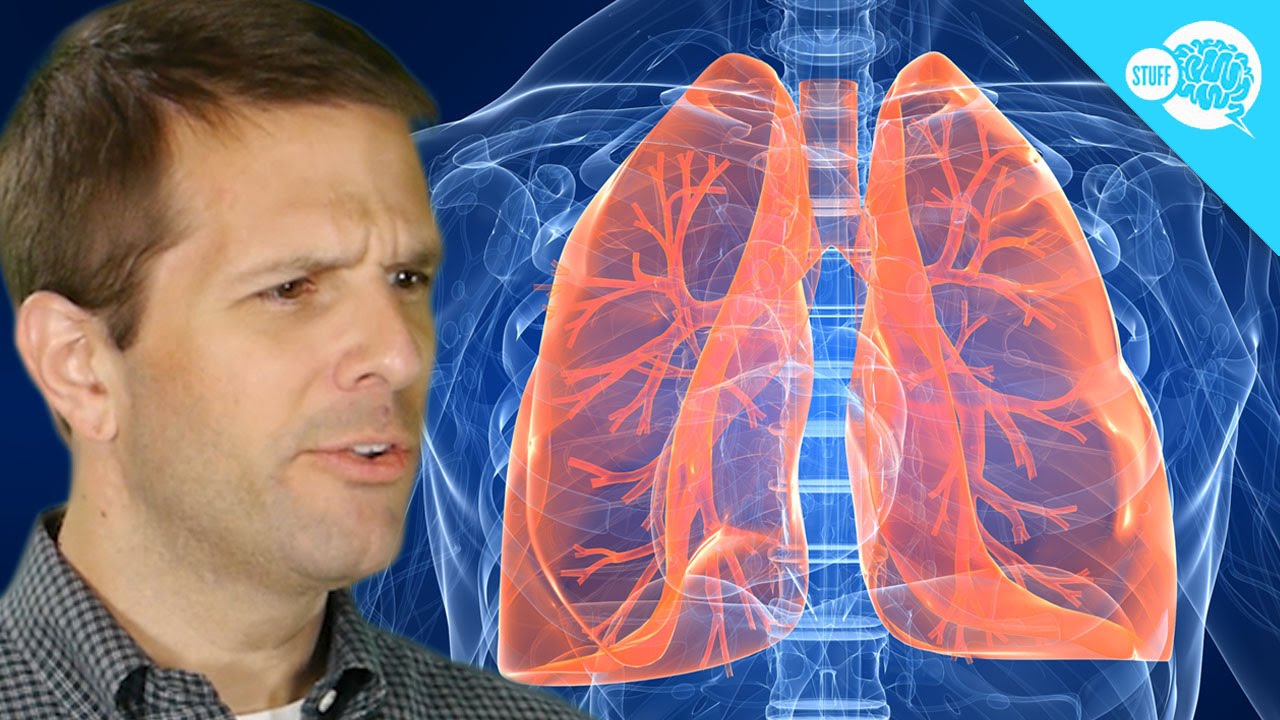 Почему нам нужен кислород для выживания?