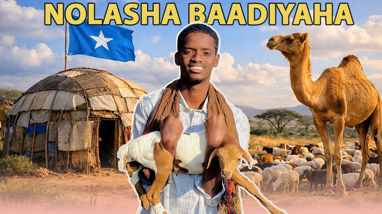 NOLASHA DHABTA AH EE BAADIYAHA SOOMAALIYED🐪🇸🇴