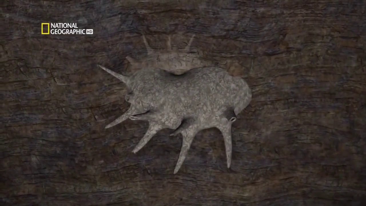 Down To The Earth's Core HD