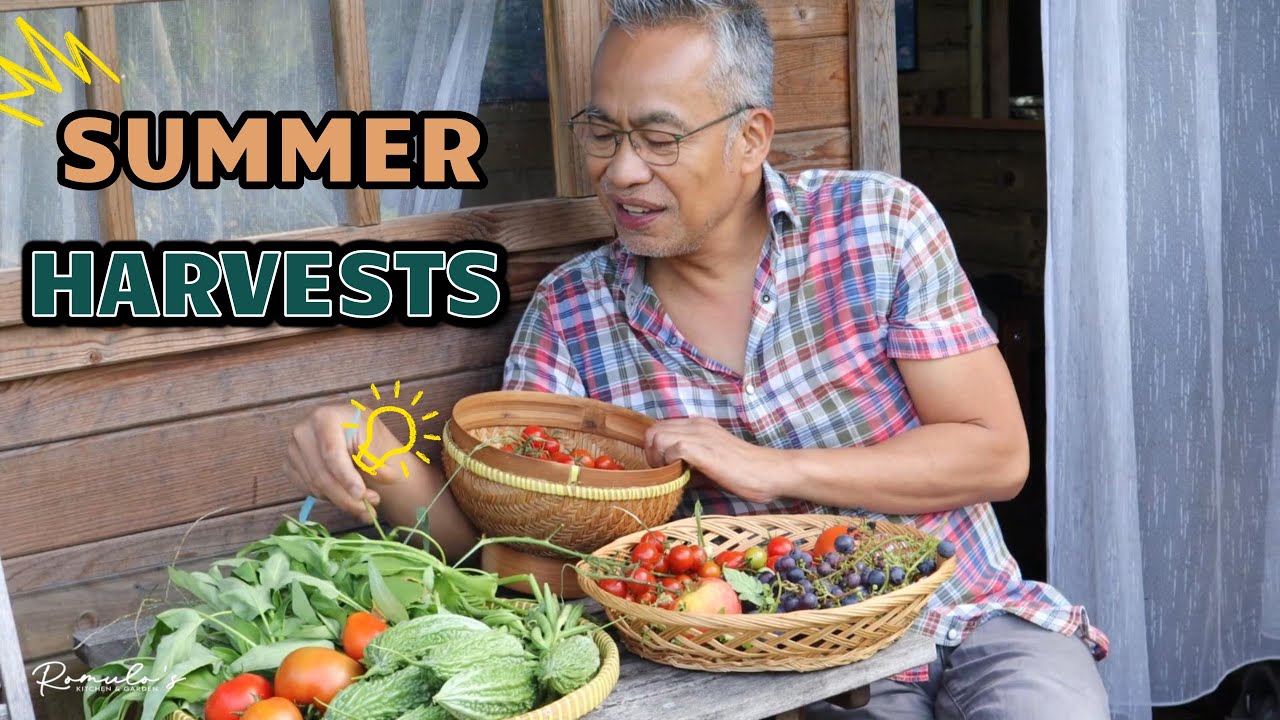 How Much Food Can One Garden Grow? Summer Harvest