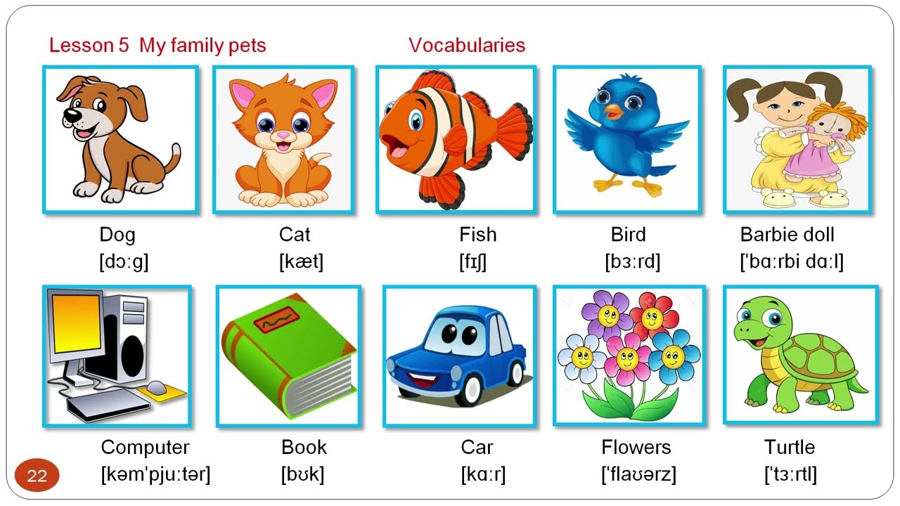 Lesson 5 My family pets