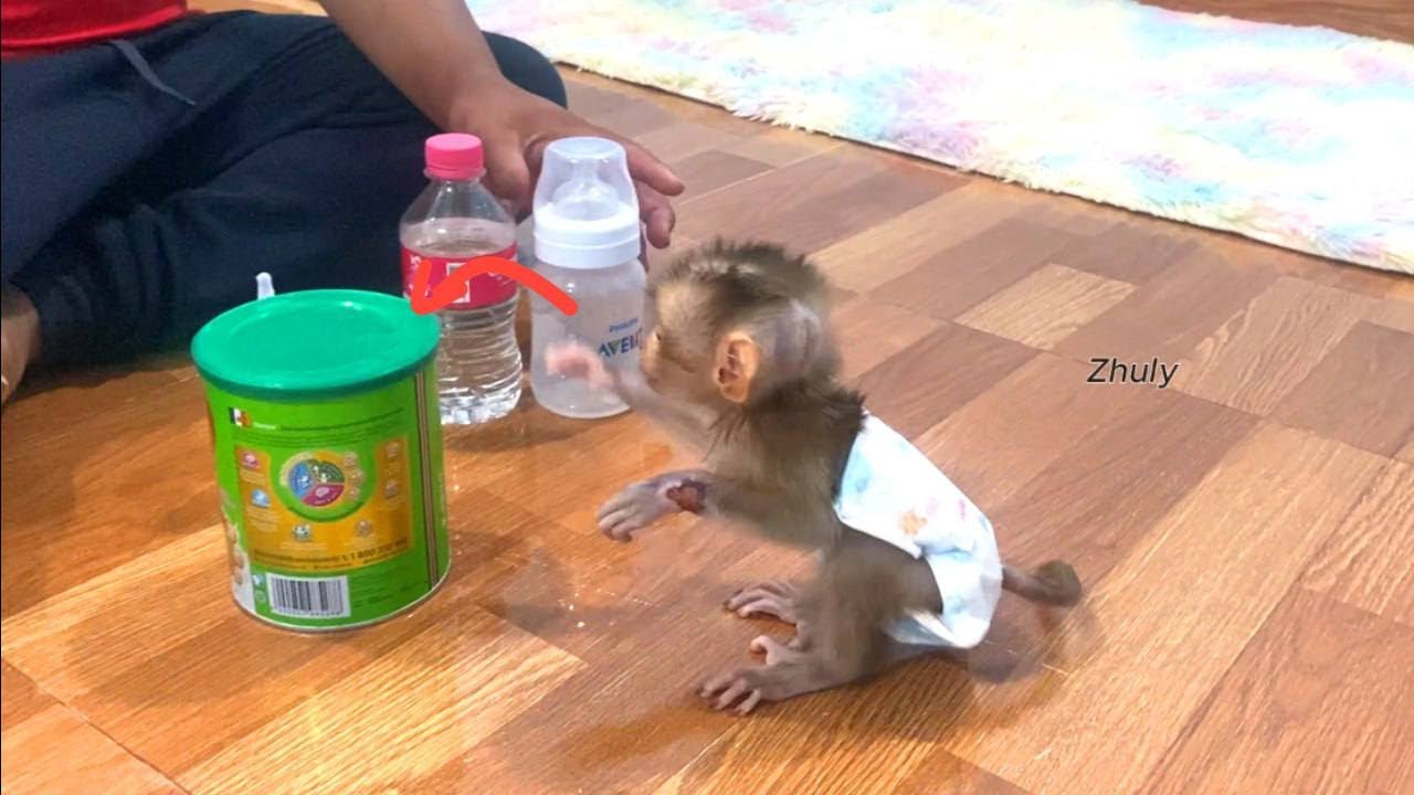 Congrats To A Weaknesssss Baby Mnkey Can’t Go To Find Her Milk First