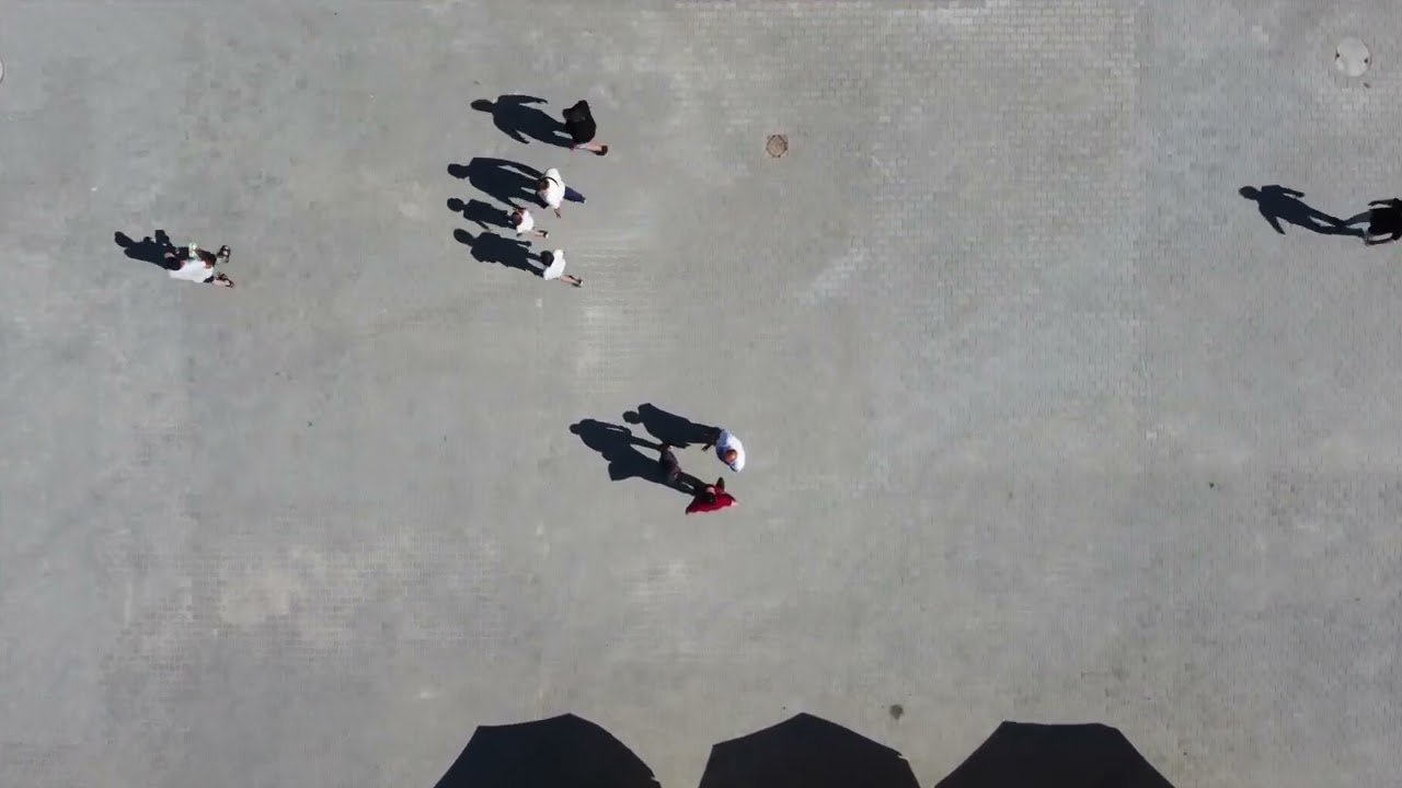 EUROPLANT Polska field day 2022