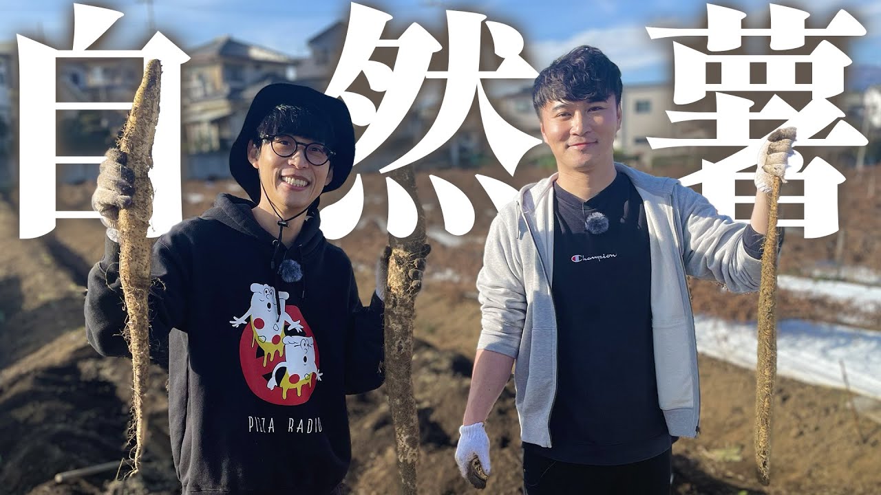 とれたての自然薯を熱々のご飯にかけて食べる！