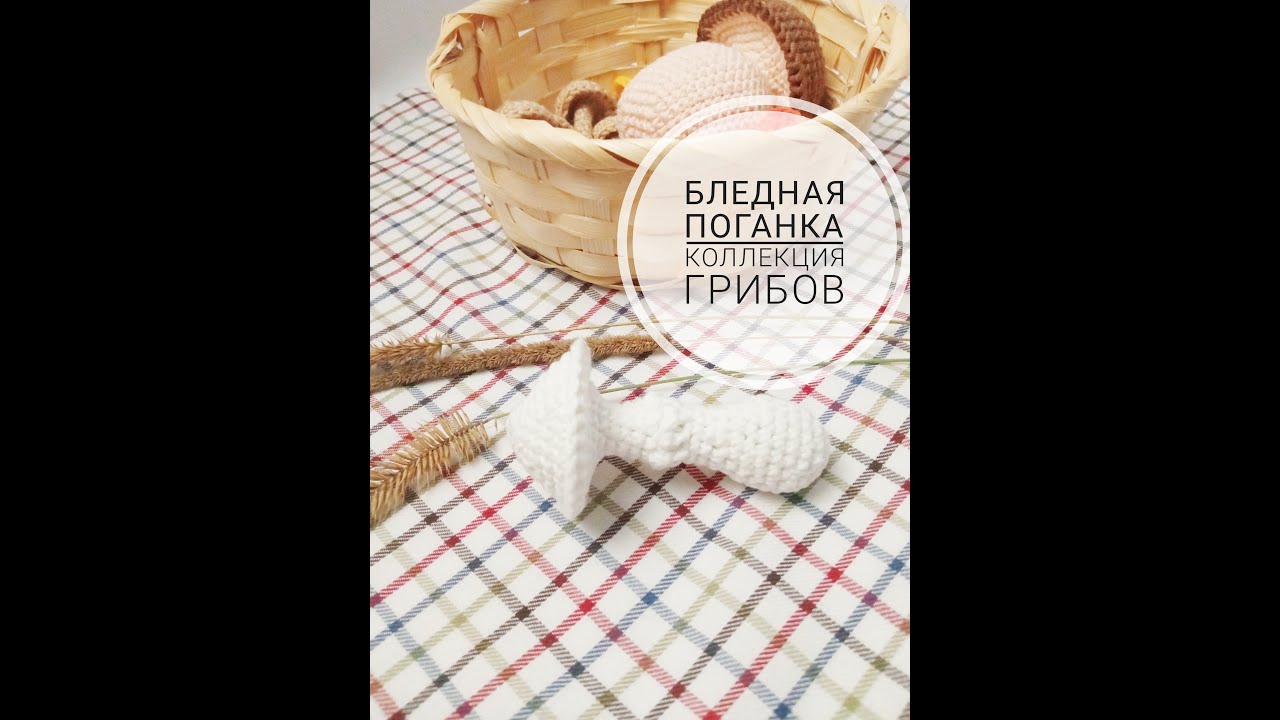 ГРИБЫ КРЮЧКОМ игрушки крючком коллекция грибов еда крючком вязание игрушек