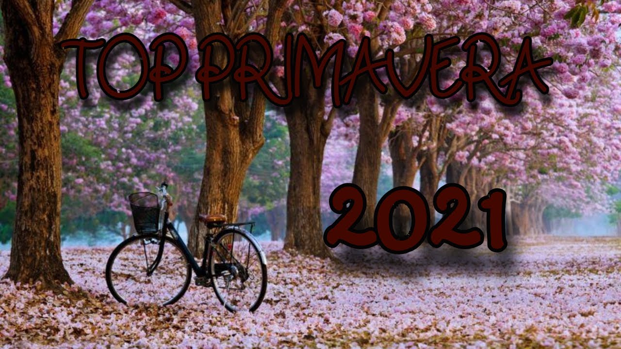 Top 11 Perfumes PRIMAVERA Año 2021