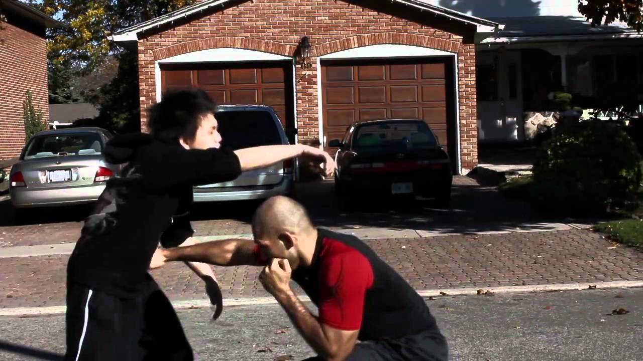 Suburban Street Brawl (dbz style)