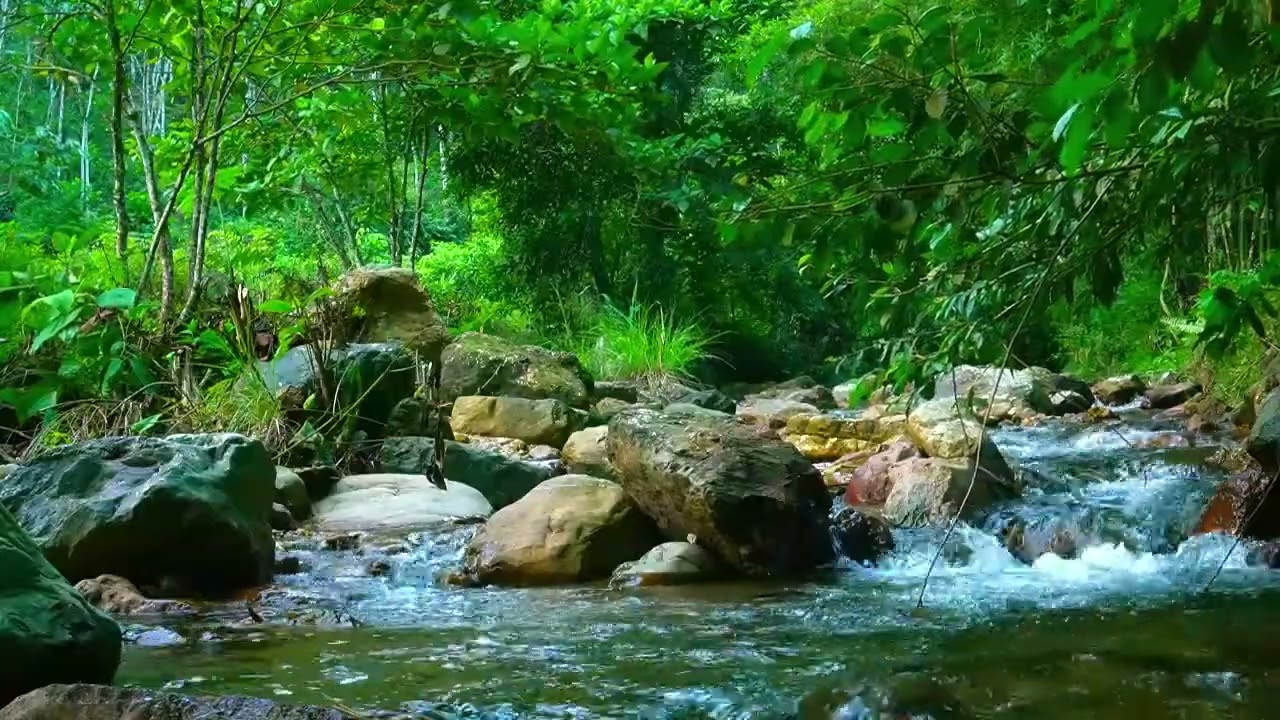 Beautiful Piano Music - Relaxing Music, Study Music, Stress Relief, Sleep Music, water sound