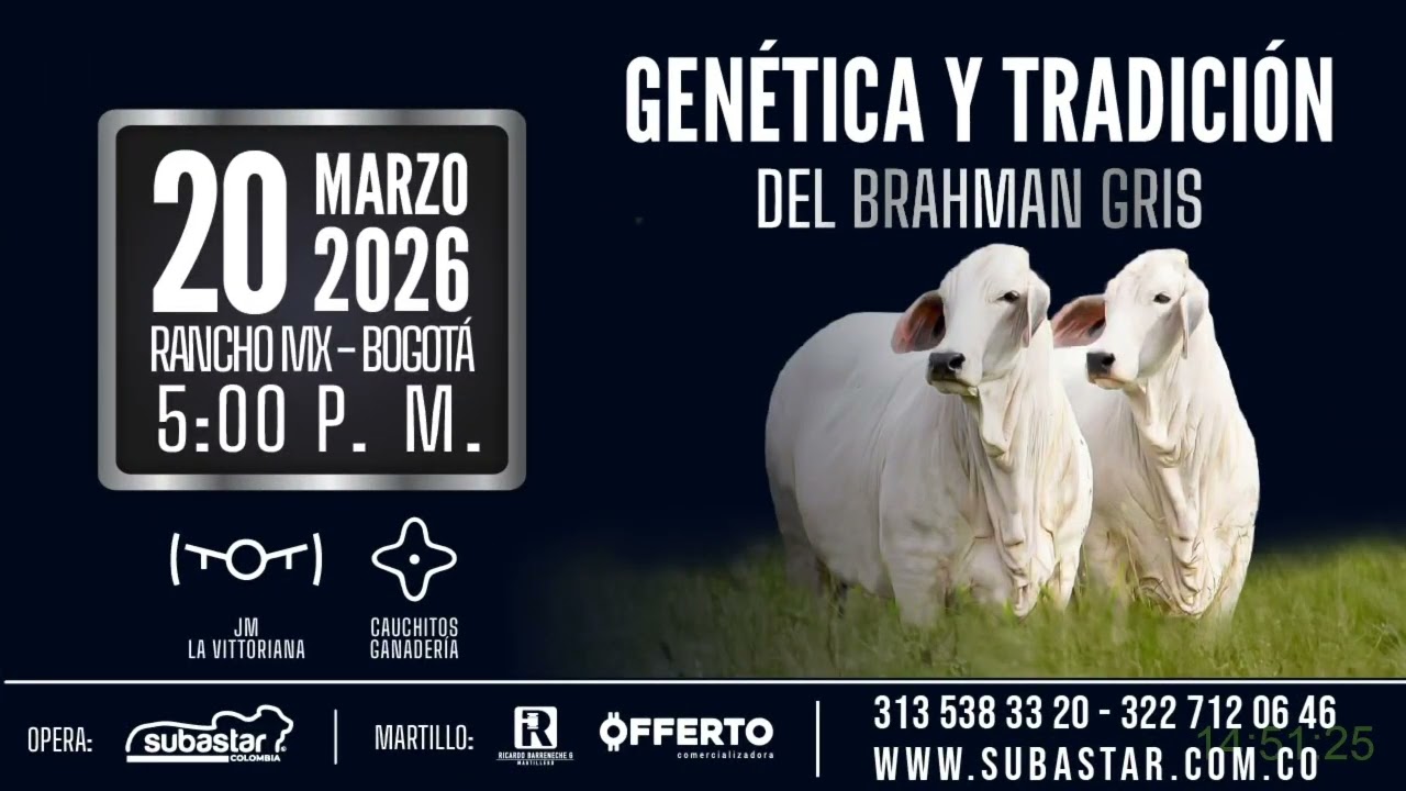 Subastar Virtual - Presencial Sampues E(9) 13-03-2026