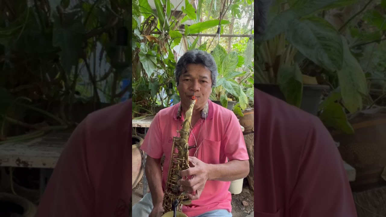 Always remember us this way  cover By Aj.Dach saxophone 