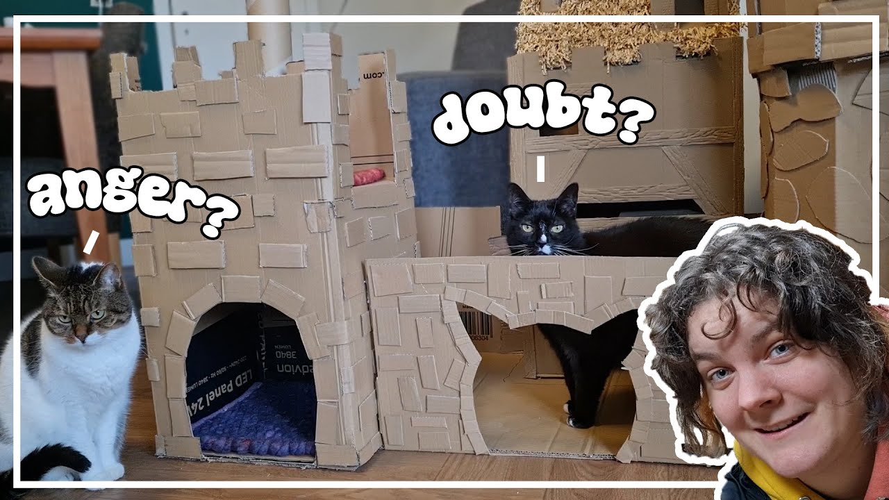 I built a castle for my cats!! 
