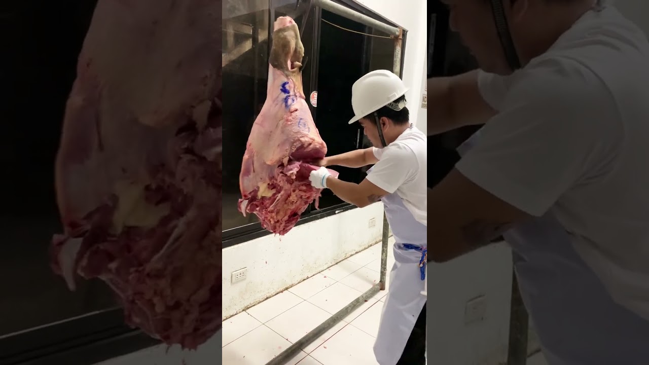 Deboning Beef Hind Quarter by DRANREB GOLOSINO