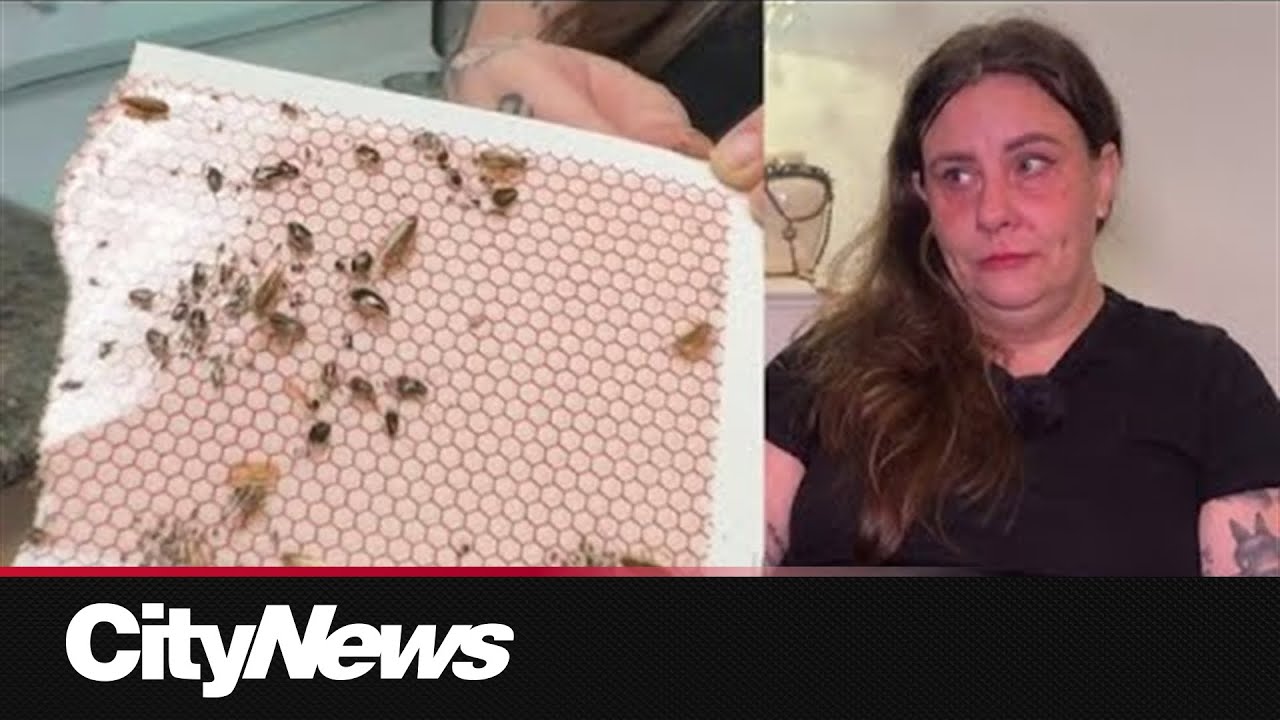 Cockroaches, mould, flooding: Vancouver mother shares BC Housing horror story