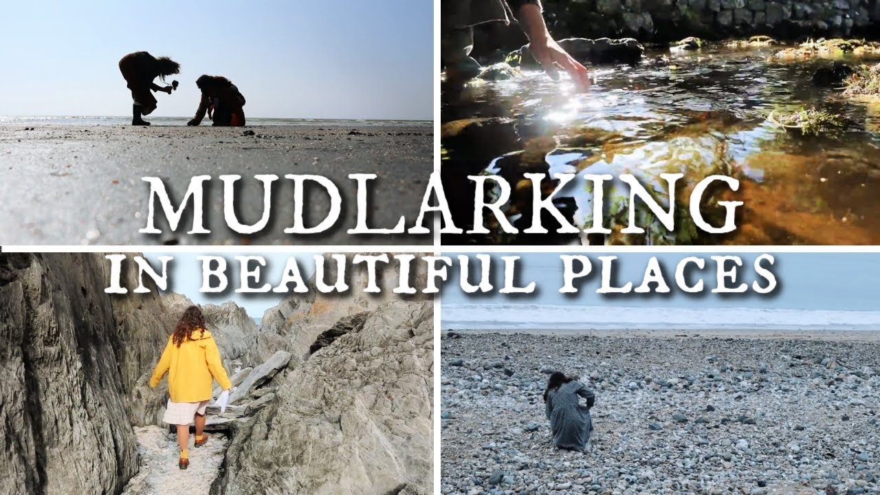 Looking For Things In Lovely Locations! Rocks, Fossils,Shells + Bottles!