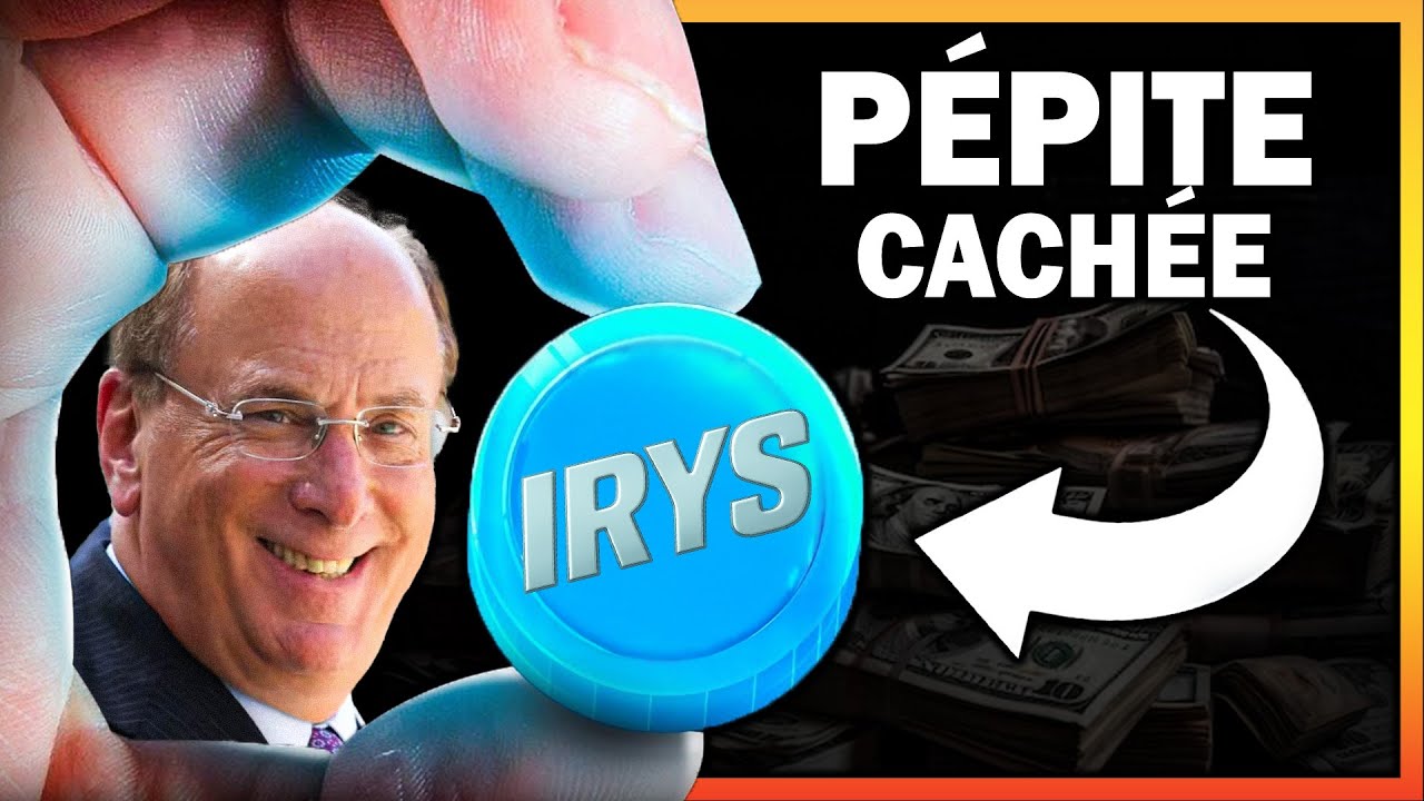 🚨 Cette Crypto Inconnue Va Changer la Blockchain Pour Toujours ! 😱 (Donn&eacute;es, IA, Gamefi)