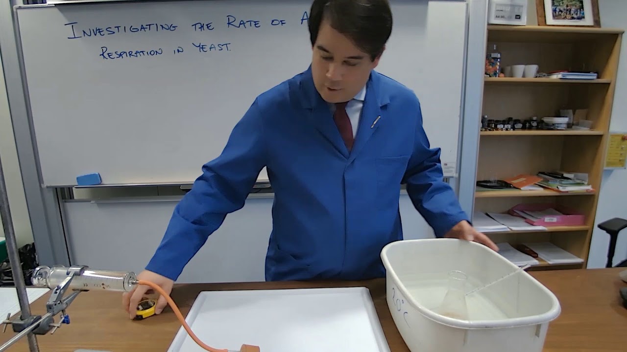 Investigating Anaerobic Respiration in Yeast