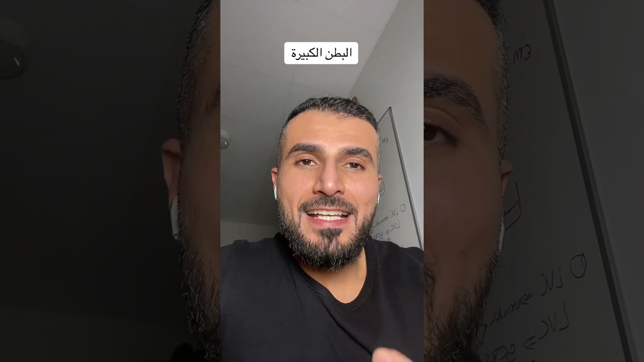 البطن الكبيرة