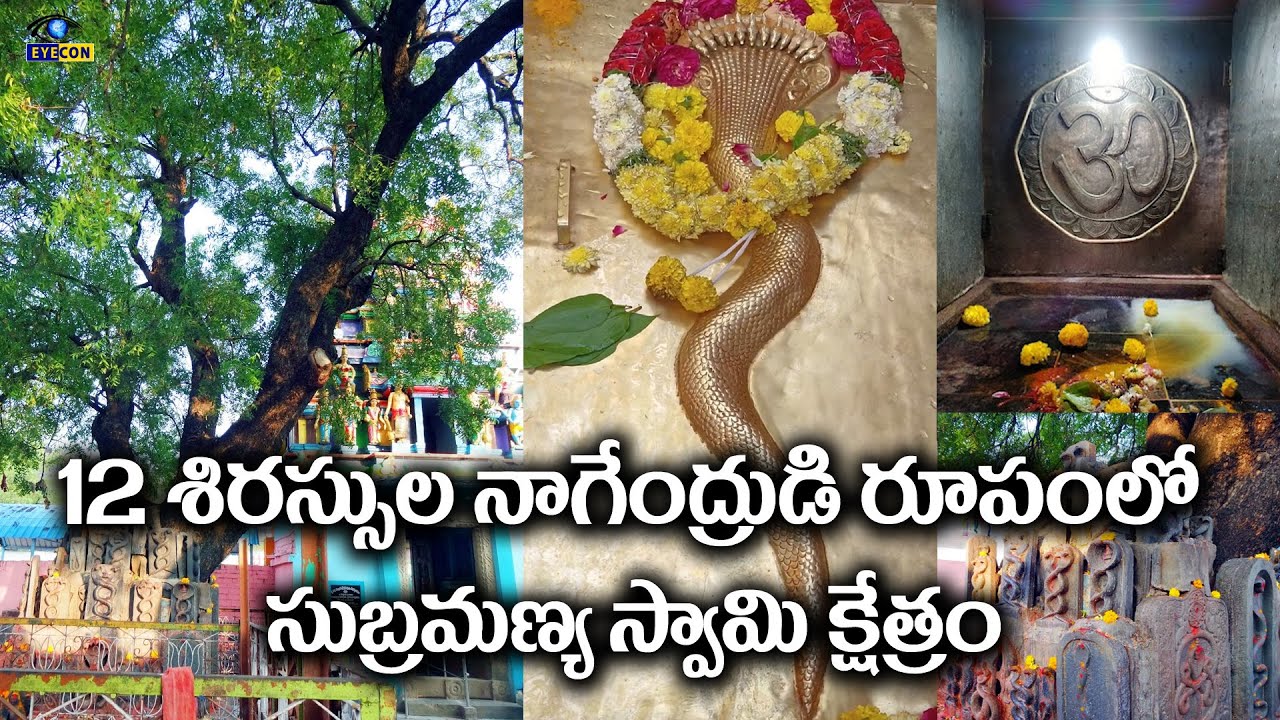 12 శిరస్సుల నాగేంద్రుడి రూపంలో సుబ్రమణ్య స్వామి  క్షేత్రం kottur subramanya swamy temple