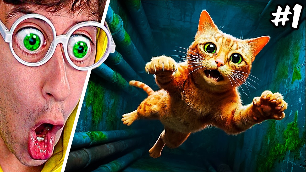SOY un GATO PERDIDO 😿!