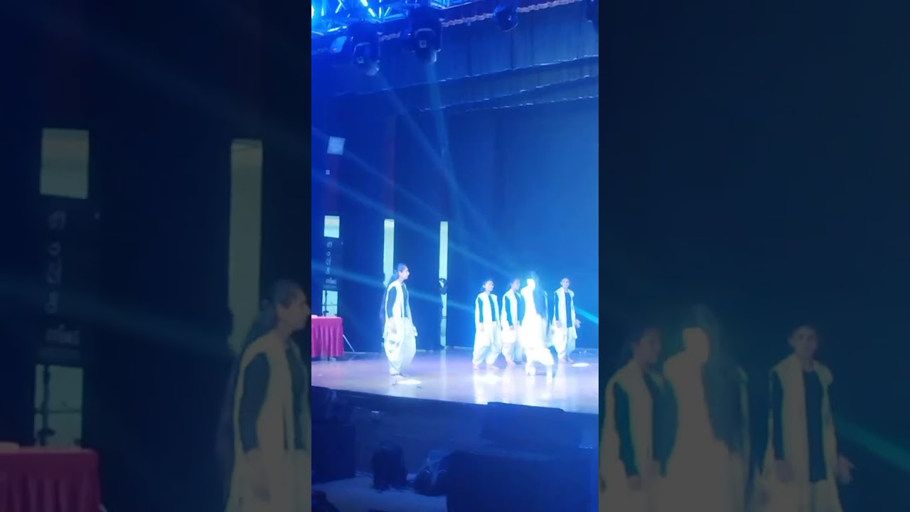 સ્કૂલનું ફંક્શન