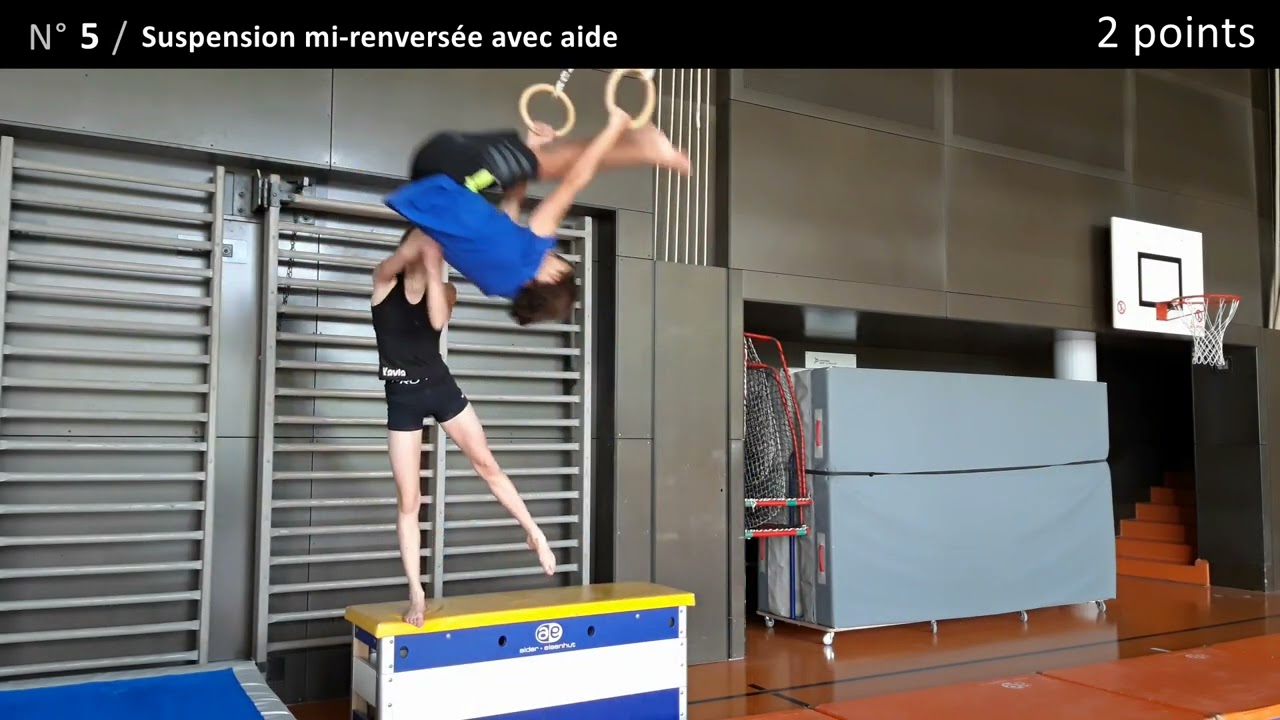Évaluation - Agrès - Anneaux balançants - Exercices 1 à 8