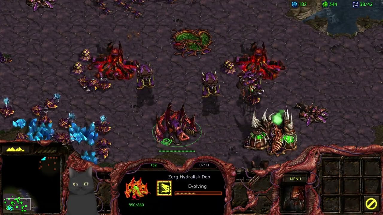 Starcraft: Broodwar Campaign Episode 2 - Overmind