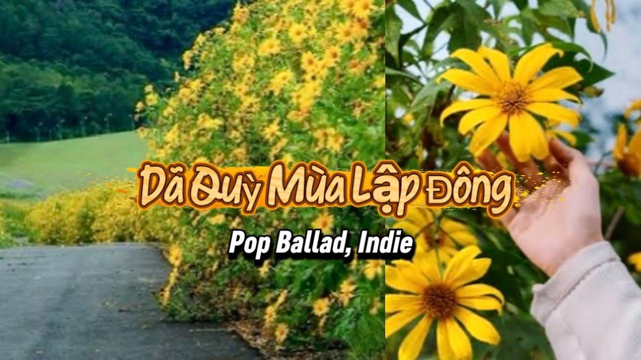 Dã Quỳ Mùa Lập Đông | Pop Ballad, Indie | MY Music