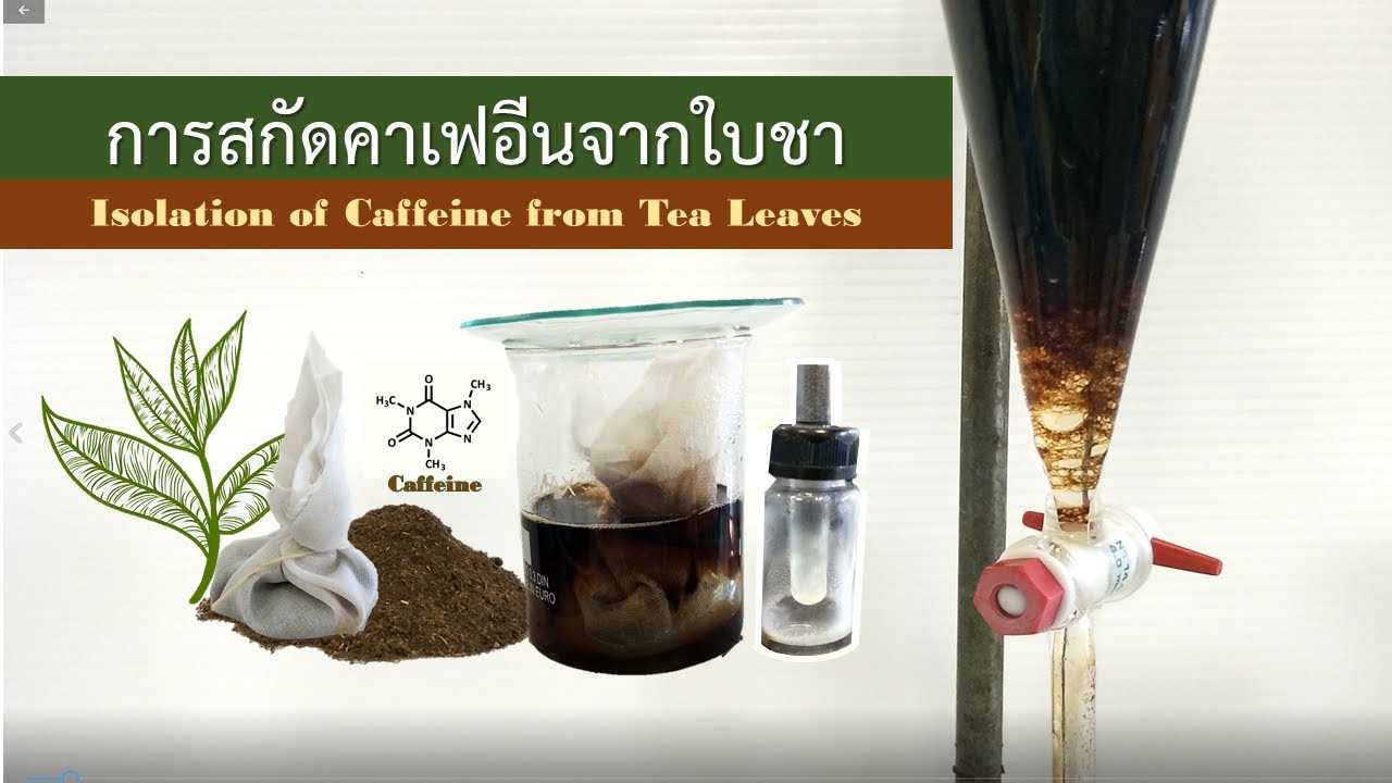การทดลองเรื่อง การสกัด caffeine จากใบชา (Isolation of Caffeine from Tea Leaves)