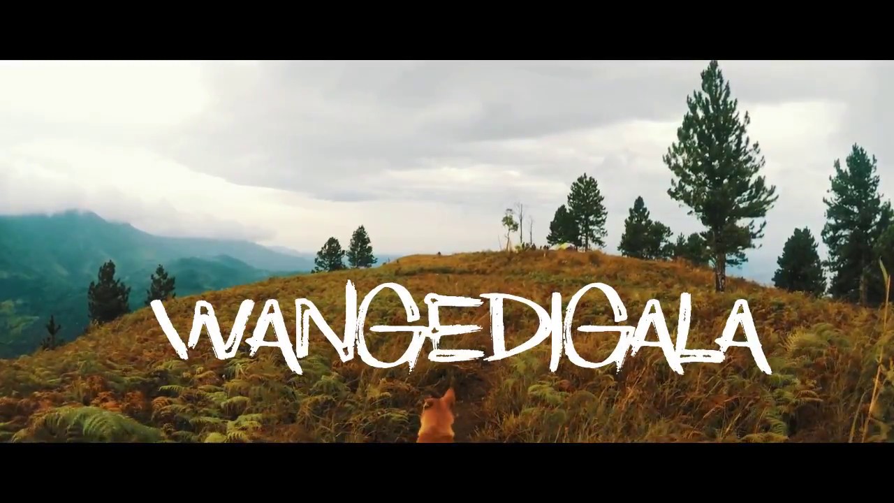 Wangedigala & Bambarakanda Hike - Ceyloncamping | VLOG #1