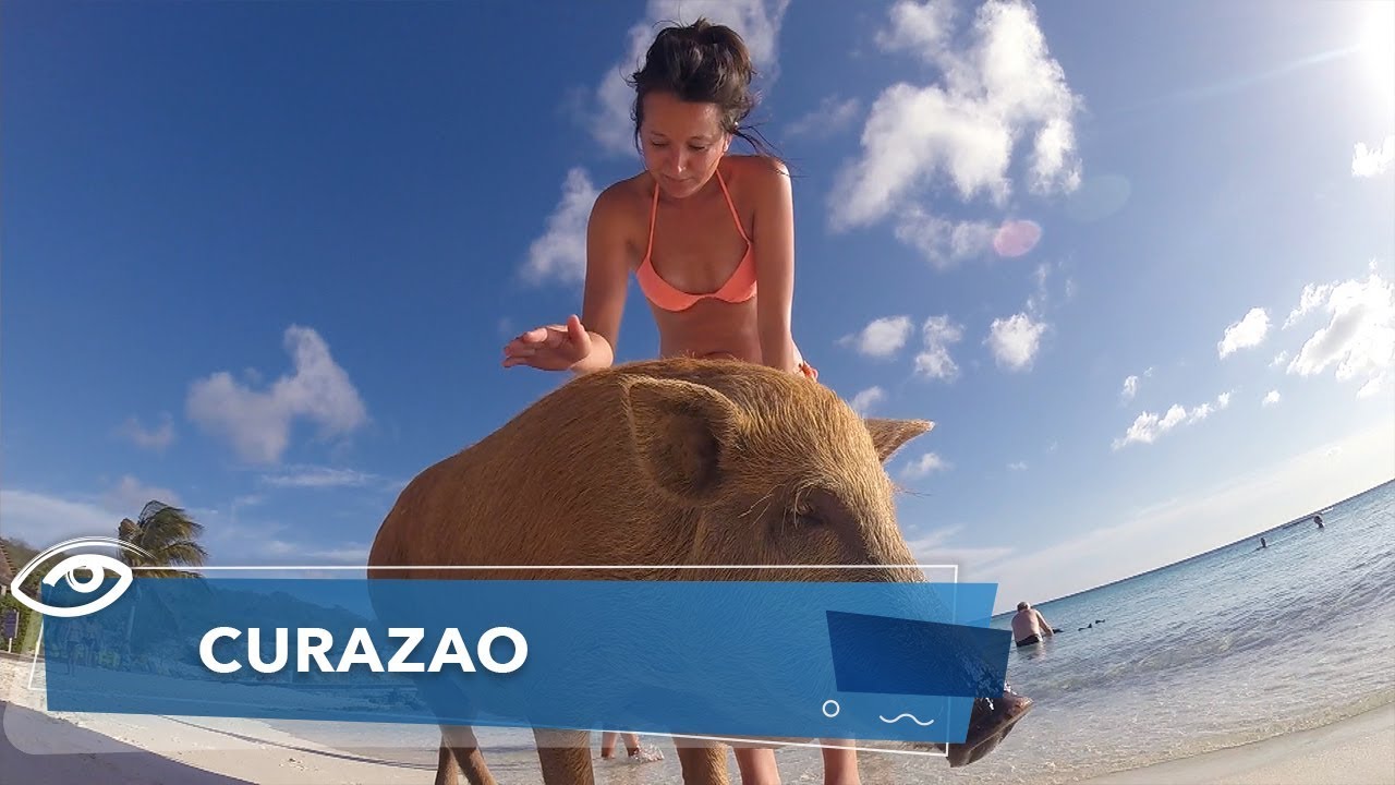 Curazao - Día a Día - Teleamazonas