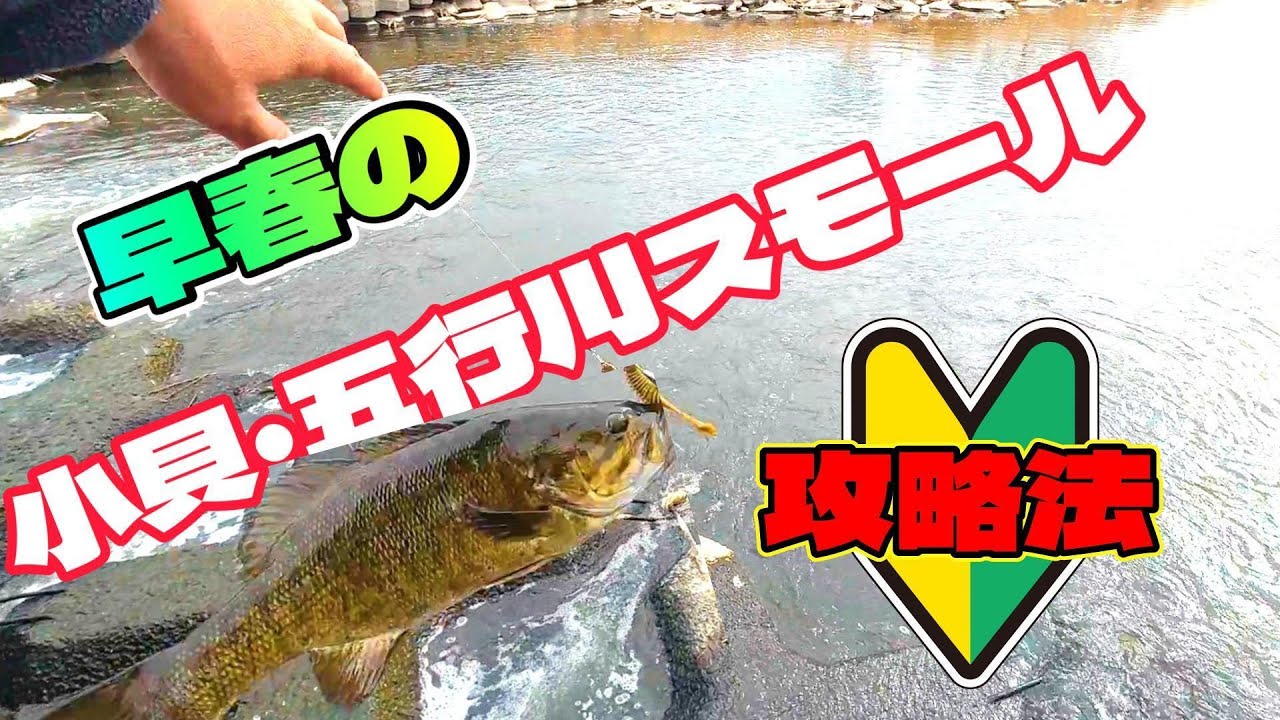 【バス釣り】早春の小貝・五行川スモール攻略法！