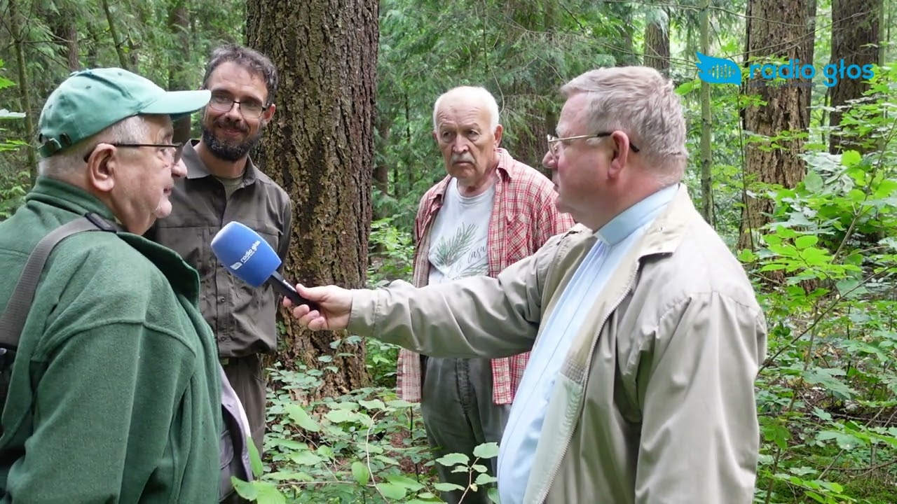 Badania nad daglezją zieloną w Arboretum Wirty: naukowcy [gość poranka]