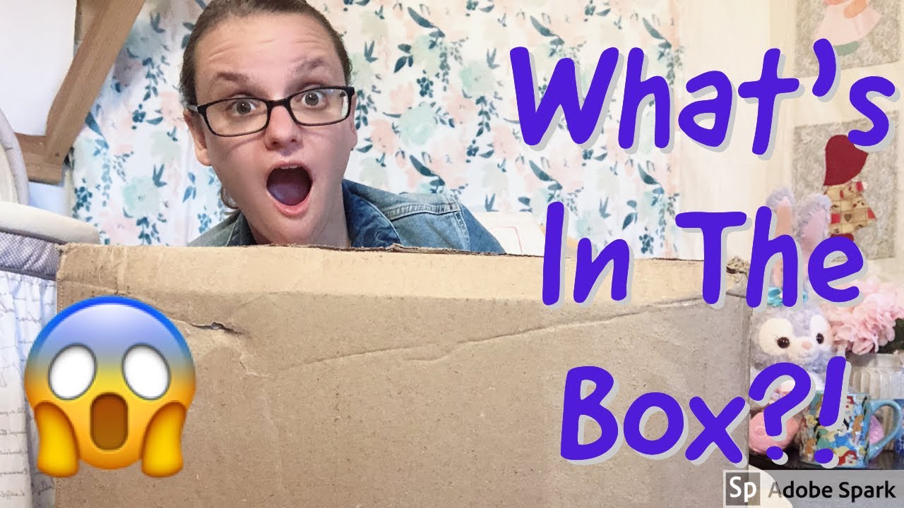 Husband Sends HUGE Mystery Reborn Baby Doll Box Opening!