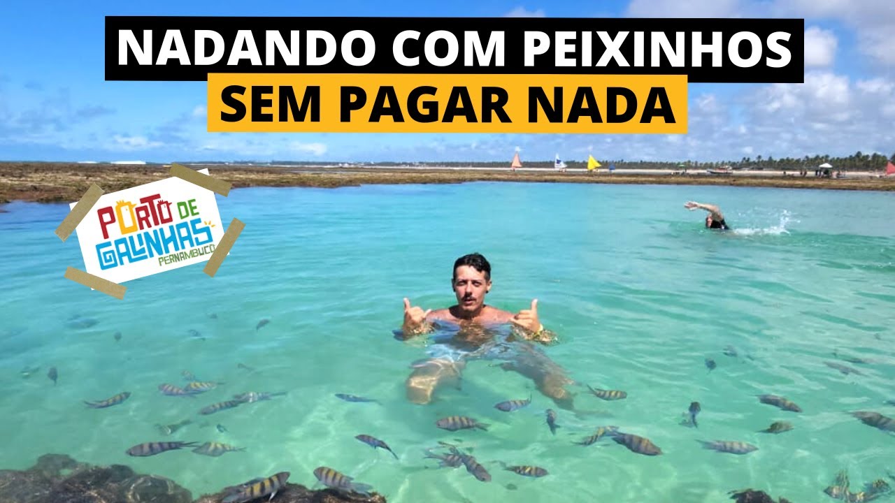 "EXPERIÊNCIA ÚNICA: PISCINAS NATURAIS DE PORTO DE GALINHAS DE GRAÇA!"
