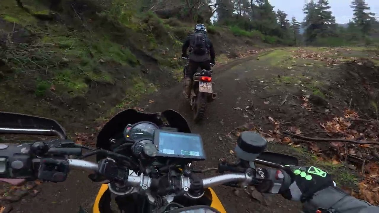 Newfieφάδα vol.3 - Evia Adventure Flow Riding with @2wheeler998 on camera 