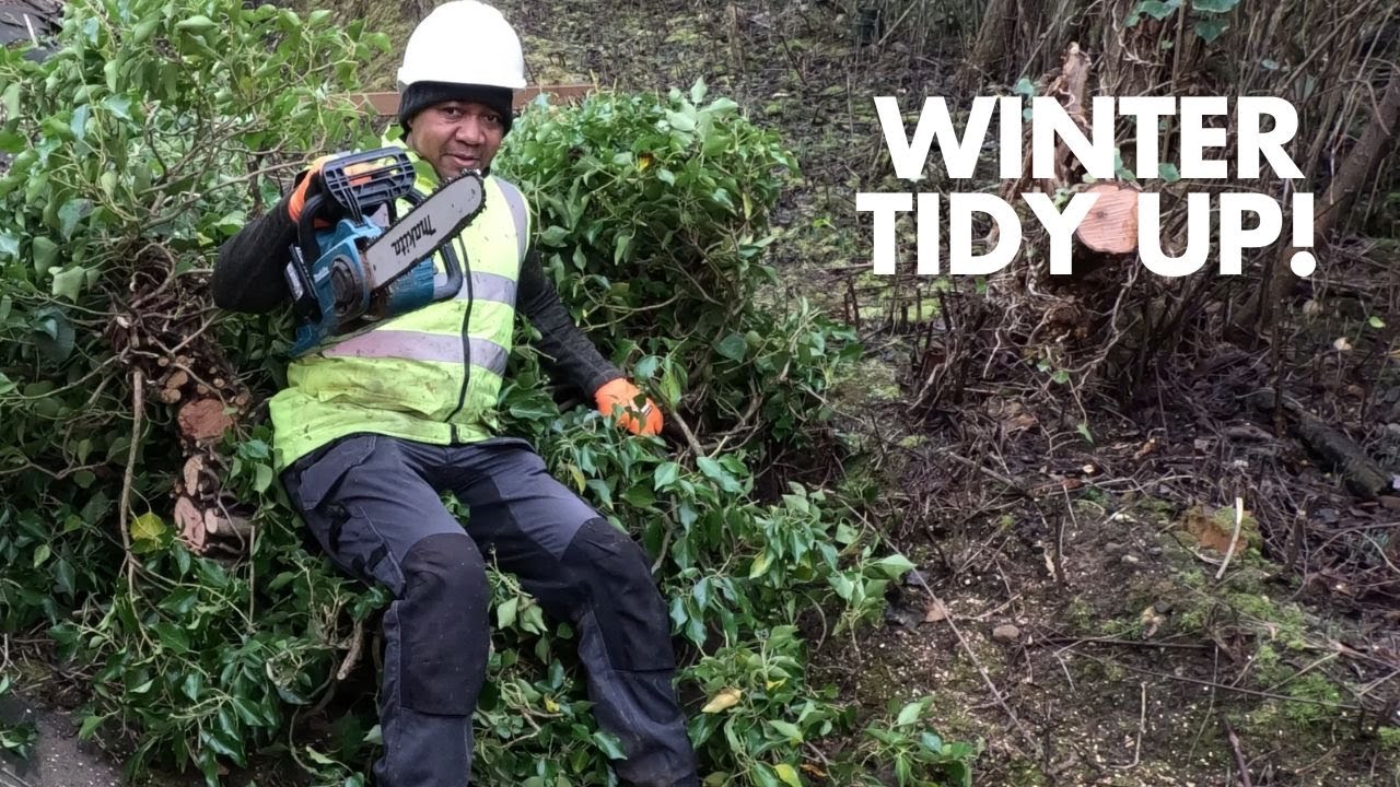 Winter Clearance ||Tree cutting || Gardening and Landscaping